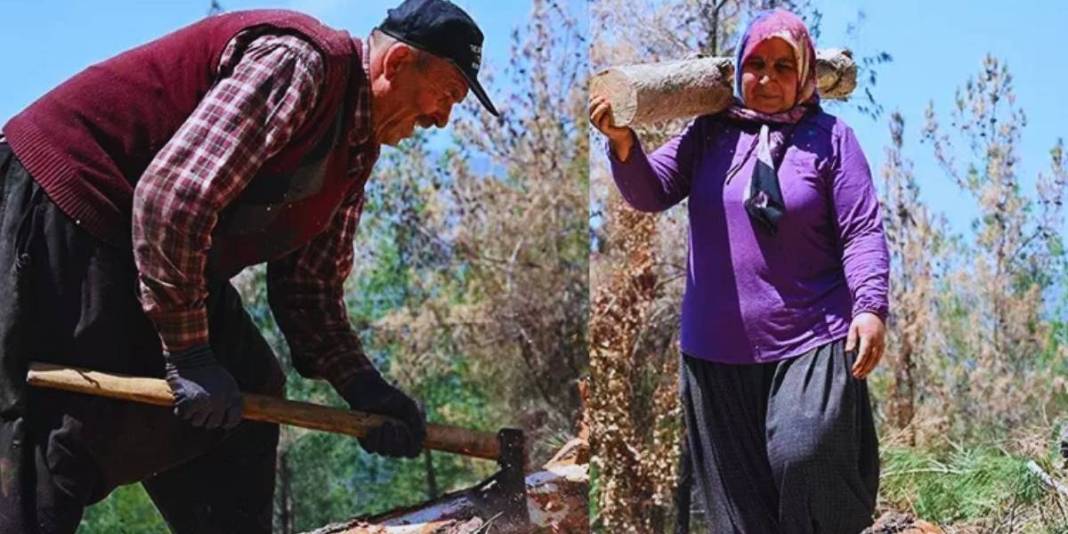 Makine yok, beton yok! Ormanın kalbinde alın teri: Karı-koca yıllardır ter döküyor, ekmeklerini birlikte çıkarıyorlar… 1